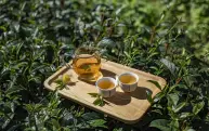 乌龙茶是中国六大茶类之一，为中国特有茶类，距今已有300多年的历史