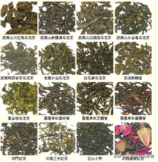 中国各种茶，看看你都喝过多少？