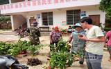 勐海布朗山乡农业中心发放覆荫树苗，创建卫东生态茶园