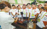 南京：亚青会小运动员迷上中国茶艺