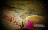 2015年下关勐海大树圆茶品评