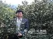 浙大公开课《茶文化与茶健康》网络蹿红