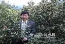 浙大公开课《茶文化与茶健康》网络蹿红