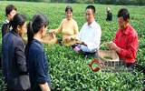 刘祥国：实干发展茶产业