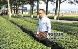长沙县人大代表周宇：发展茶叶产业，带动百姓增收