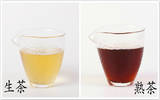 普洱生茶和熟茶有什么区别？哪一种更具收藏价值？