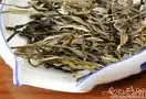生普洱茶的功效与作用 防辐射茶饮品