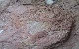 常见紫砂壶泥料详解以及各类泥的窑温和收缩比