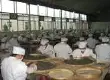 普洱生茶与熟茶的制作过程