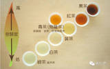 一张图看懂中国所有茶叶
