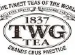 风靡全球的顶级茶TWG TEA介绍