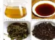 生茶与熟茶的功效对比