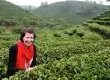 从牛津大学的“中国研究”到世界知名茶叶公司的TEA BUYER ——Bethan Thomas的中国茶缘