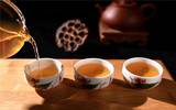 你适合喝哪种茶绿茶、红茶、青茶、黑茶、白茶、黄茶