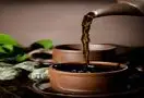 柏砂茶清热除湿，和中养胃功能