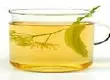 石斛保肝茶可养肝，有滋阴除热、明目强肾的功效