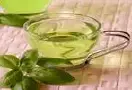 蒲公英茶清热解毒，利尿散结 抗菌功效