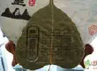 榕树叶门: 彰显中国普洱茶生态的古老高贵形象