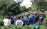 茶叶所科技人员到勐海布朗山乡章家村委会开展茶树嫁接技术培训