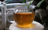 专家解读:何为古树茶,野生茶及区别