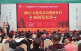 中国第四届茶叶博览会开幕, 两省代表讨论安华茶