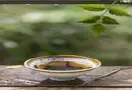 茶中蕴含着无尽的滋味, 清澈的波浪, 一杯漂浮的茶叶