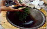 清蒸绿茶的工艺类型及生产工艺方法