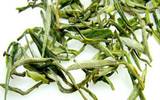 广东大叶绿茶的酿造要点