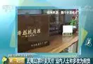 央视财经: 武夷山茶卖得天高, 业内人士说, 大部分假冒
