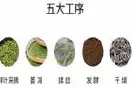 网易严格选择杭州举办茶活动, 帮助弘扬中国文化