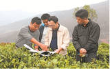 铸就法治, 保护一叶绿, 普洱古茶树资源保护条例的诞生